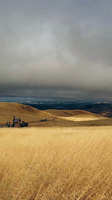 Golden East Bay hills